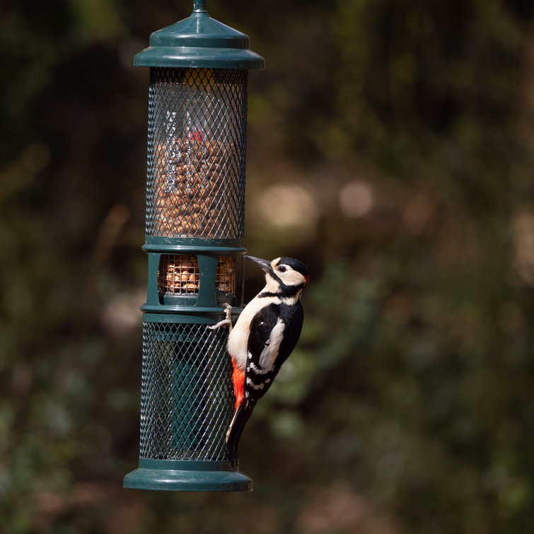 Jacobi Jayne Squirrel Buster Peanut Squirrelproof Bird Feeder